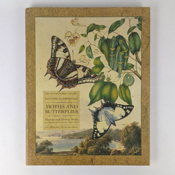 Historical Drawings of Moths and Butterflies
