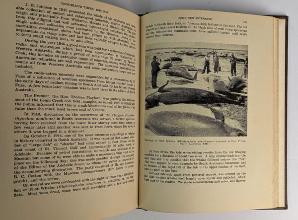 The First Hundred Years of the South Australian Museum, 1856-1956 - Image 3