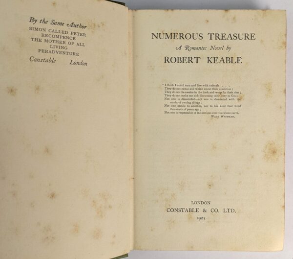 Numerous Treasure: A Romantic Novel - Image 2
