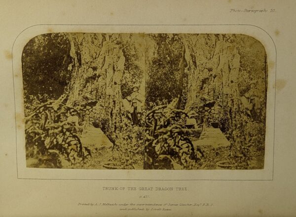 Teneriffe, An Astronomer's Experiment: or, Specialities of a Residence Above the Clouds - Image 5