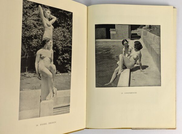 Sun Bathers - Image 2