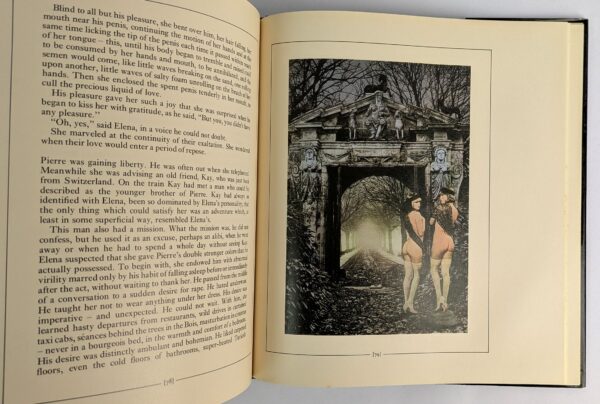 The Illustrated Delta of Venus - Image 3
