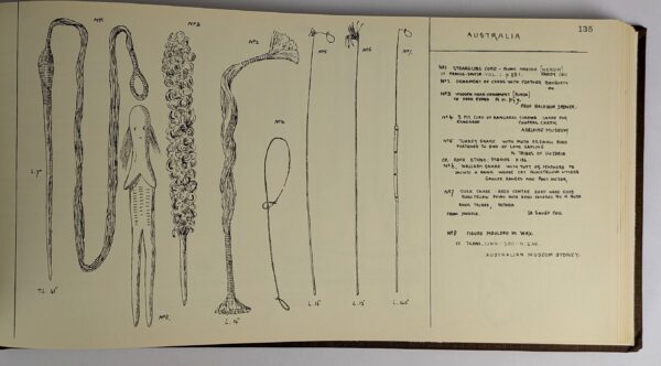 An Album of the Weapons, Tools, Ornaments, Articles of Dress of the Natives of the Pacific Islands - Image 8