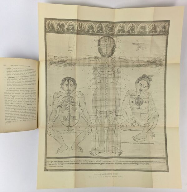 The Tibetan Anatomical System - Image 2