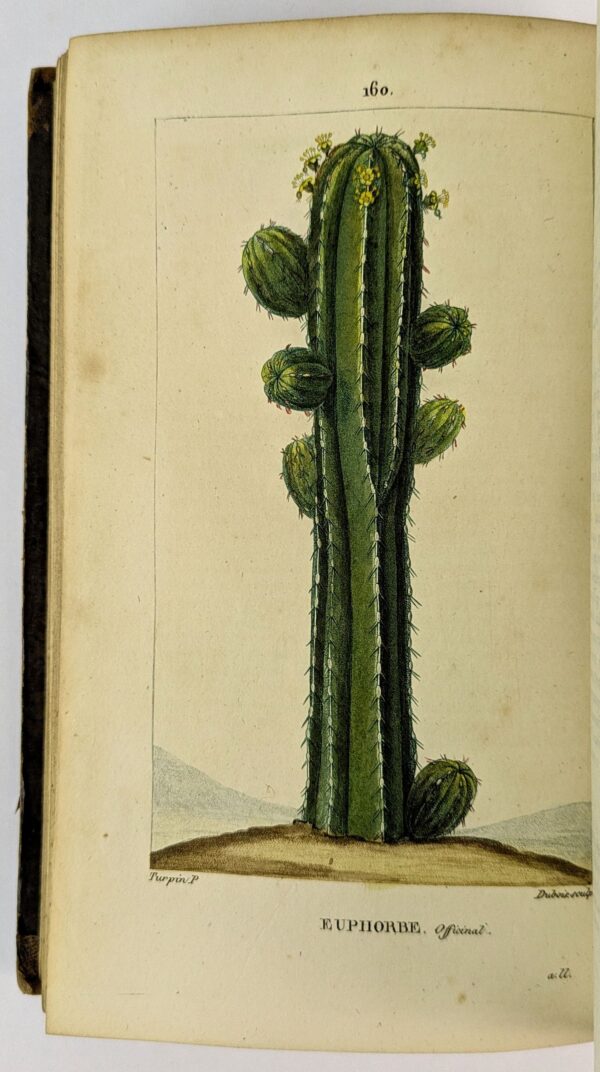 Flore Medicale, Decrite par F. O. - Image 6