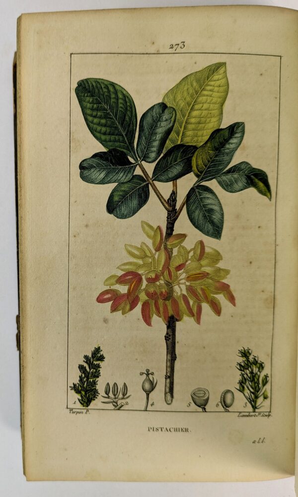 Flore Medicale, Decrite par F. O. - Image 8