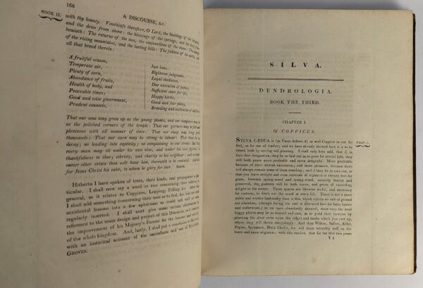 Silva: or, A Discourse of Forest-Trees, and the Propagation of Timber in his Majesty's Dominions: .. - Image 6