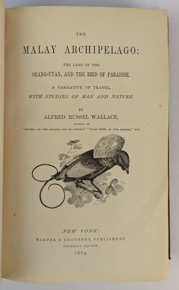 The Malay Archipelago - Image 2