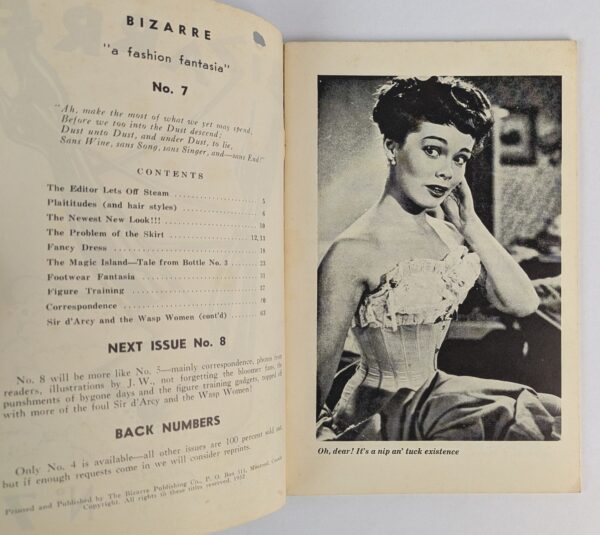 Bizarre: A Fashion Fantasia No. 7 - Image 2