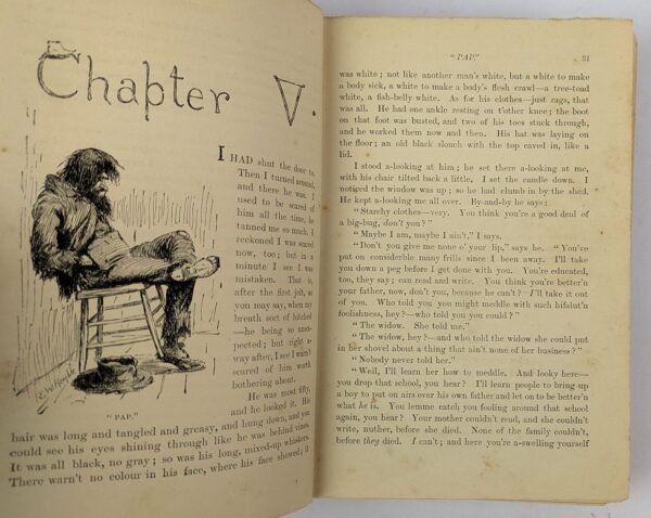 The Adventures of Huckleberry Finn (Tom Sawyer's Comrade) - Image 3