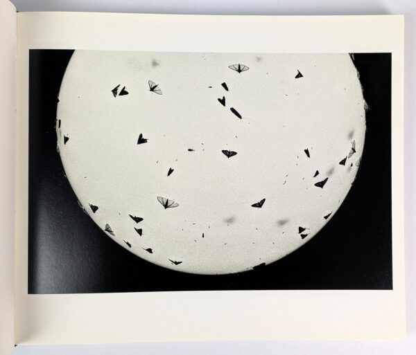 Minutes to Midnight - Image 3