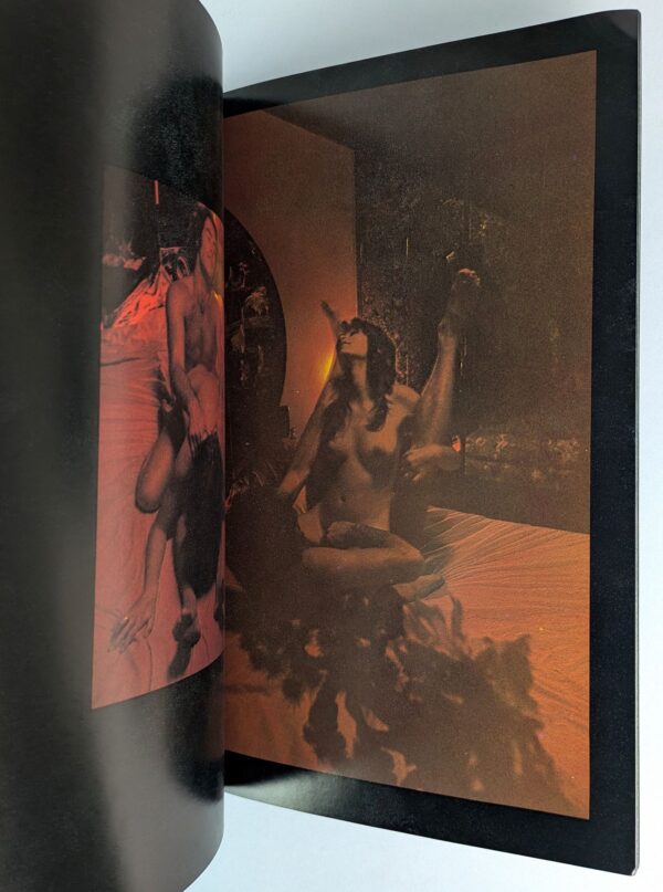 Expressions of Lovemaking - Image 6