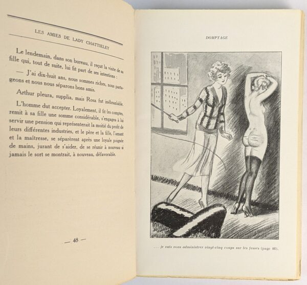 Les Amies de Lady Chattieley - Image 6
