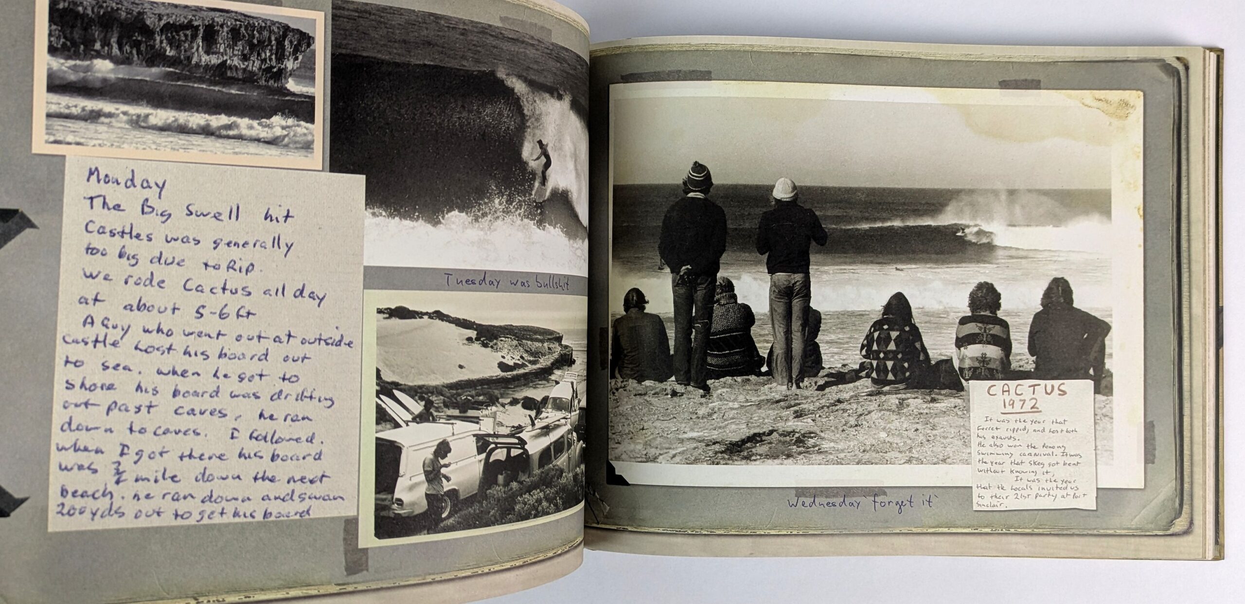 Cactus: Surfing Journals from Solitude - Image 3