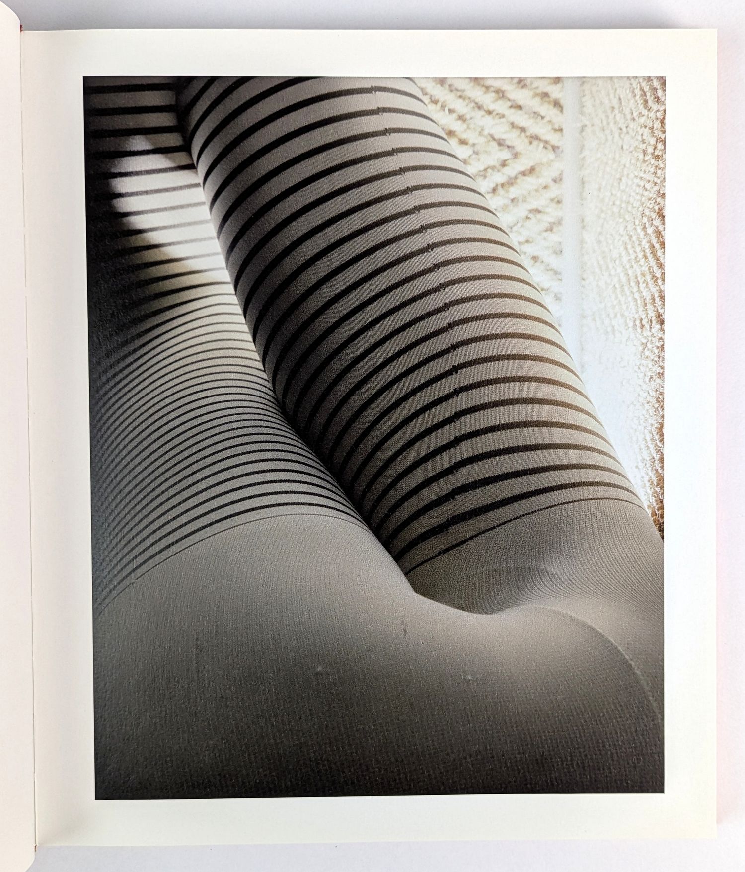 Vanilla Partner - Image 2