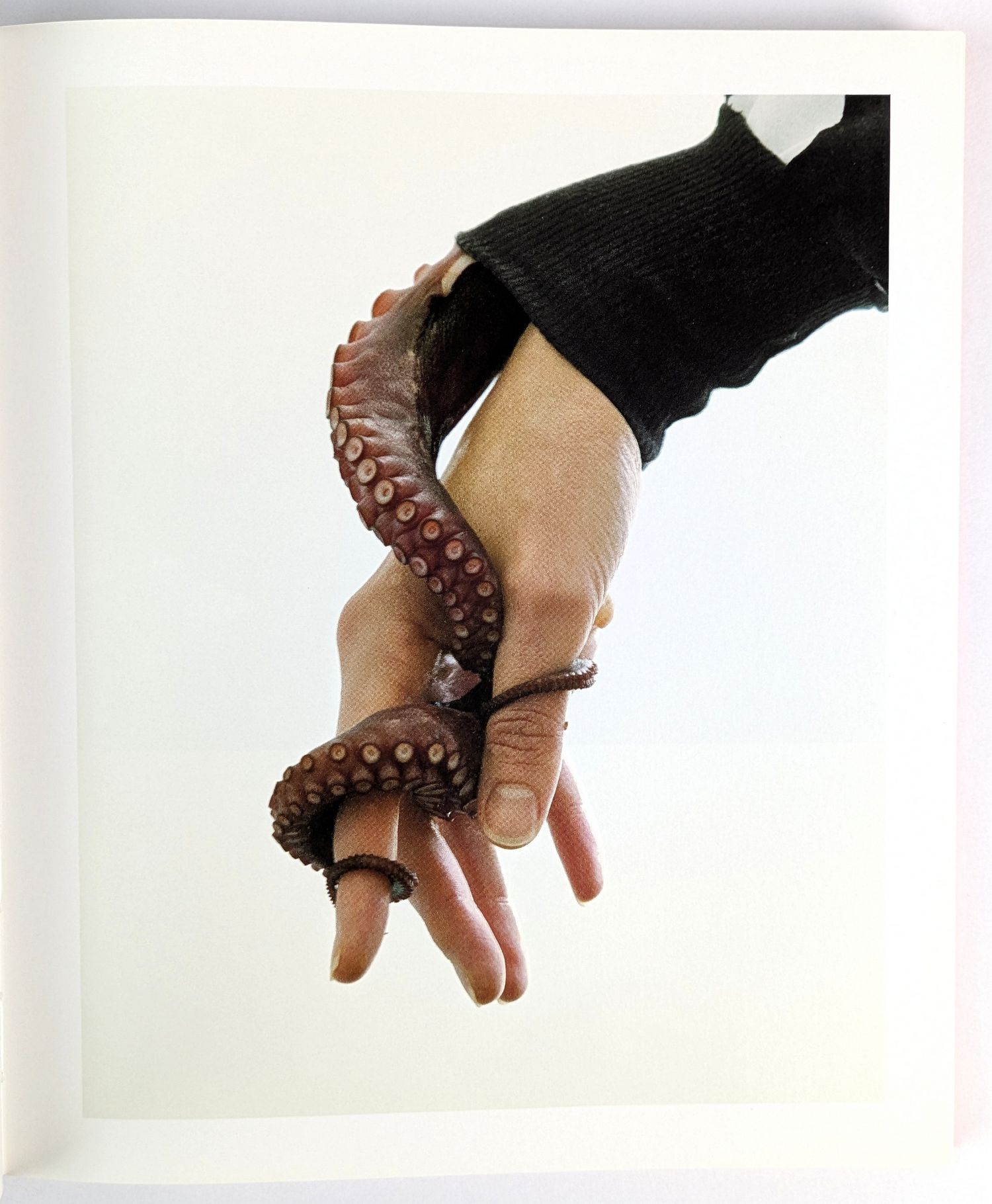 Vanilla Partner - Image 3