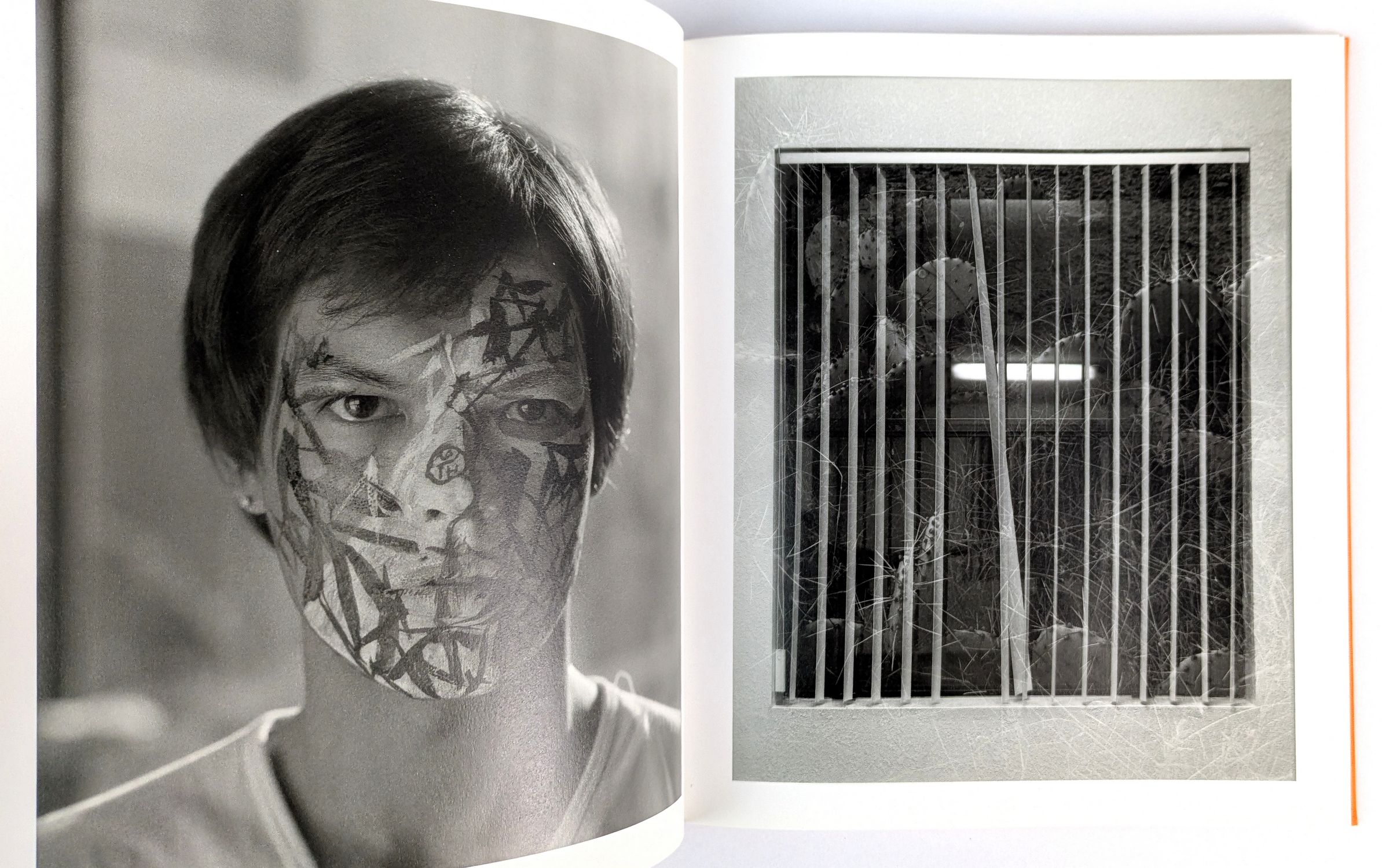 Vanilla Partner - Image 4