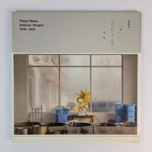 Refocus: Dragon 2010-2011