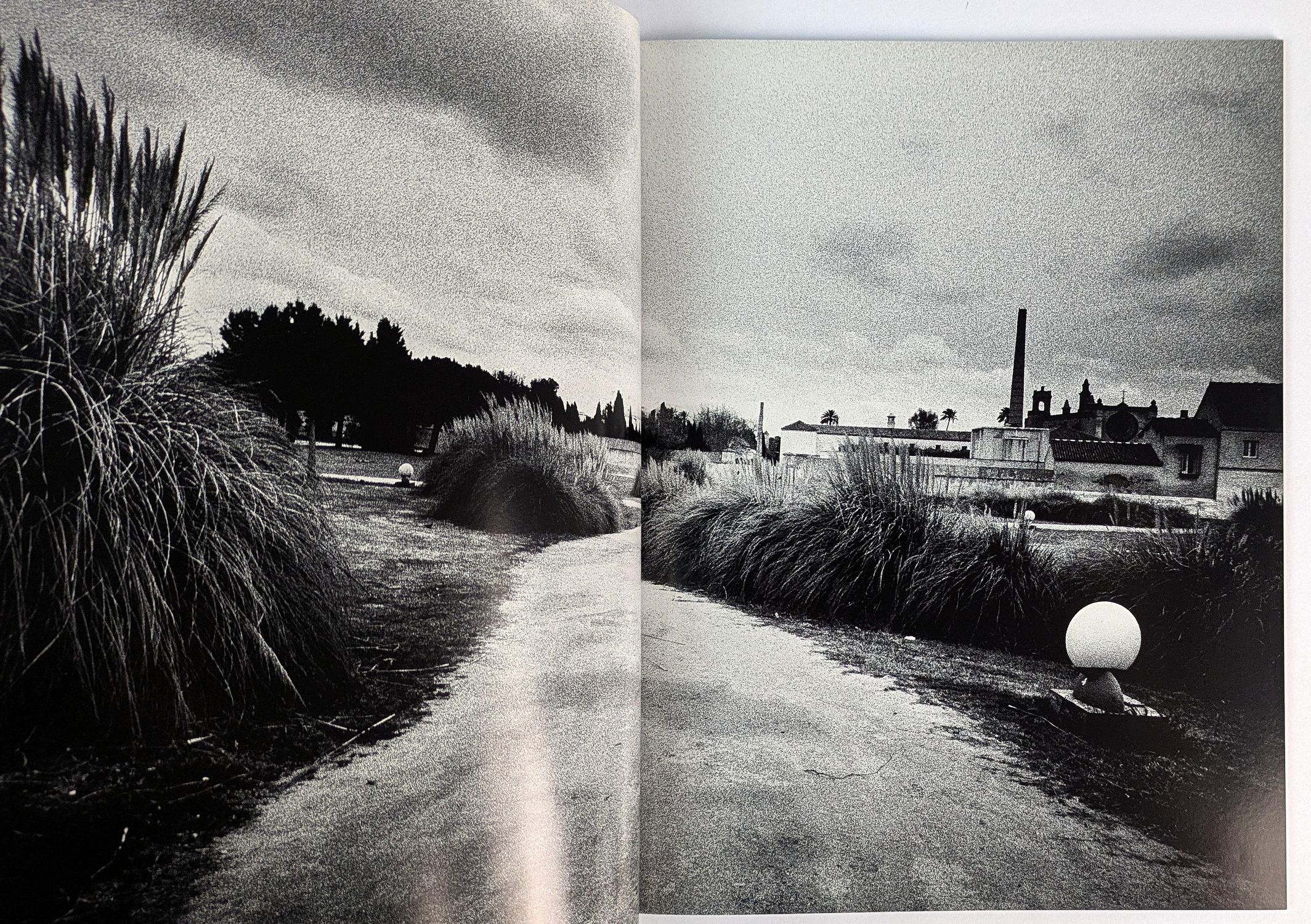 Record No. 10 - Image 3