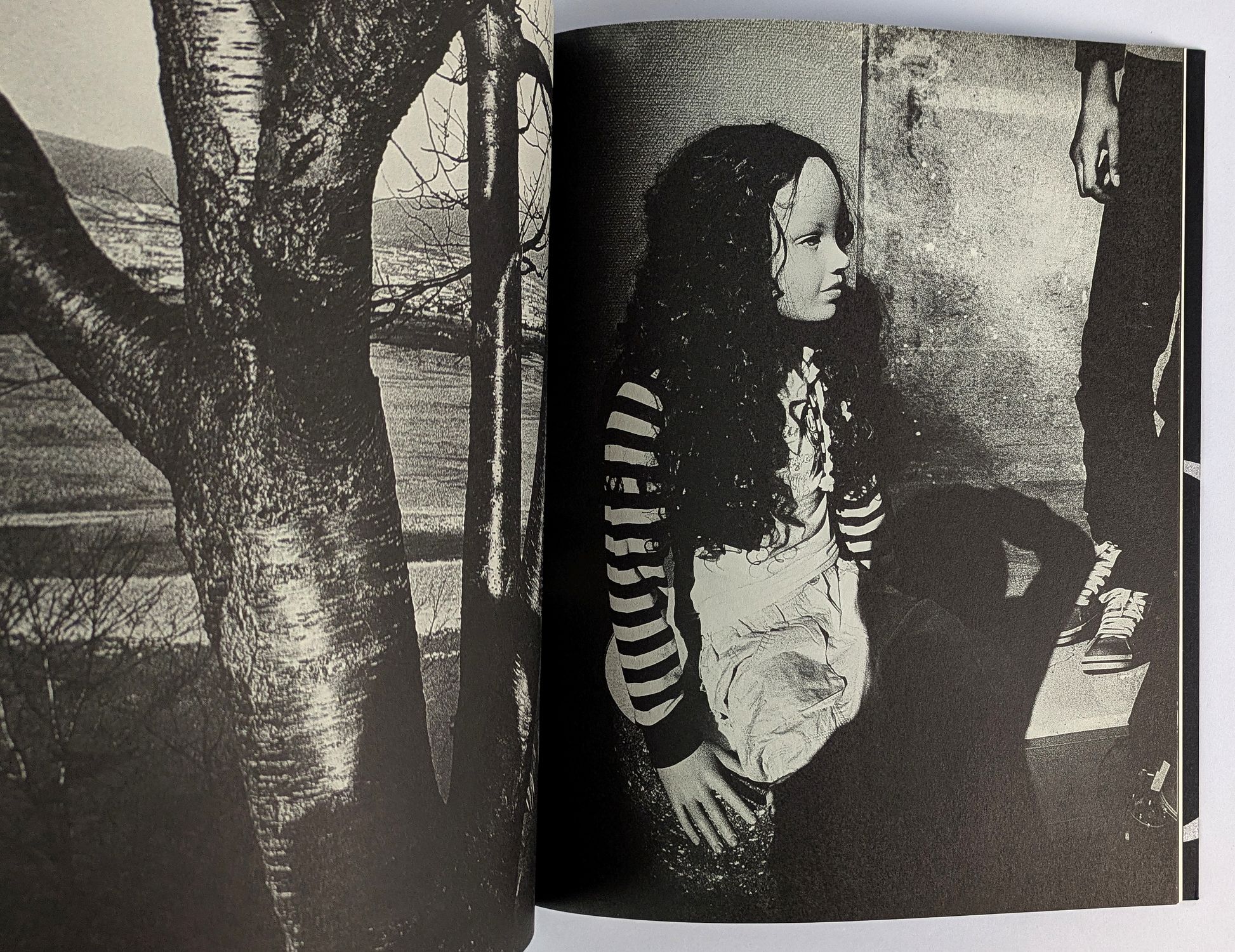 Reflection and Refraction - Image 4