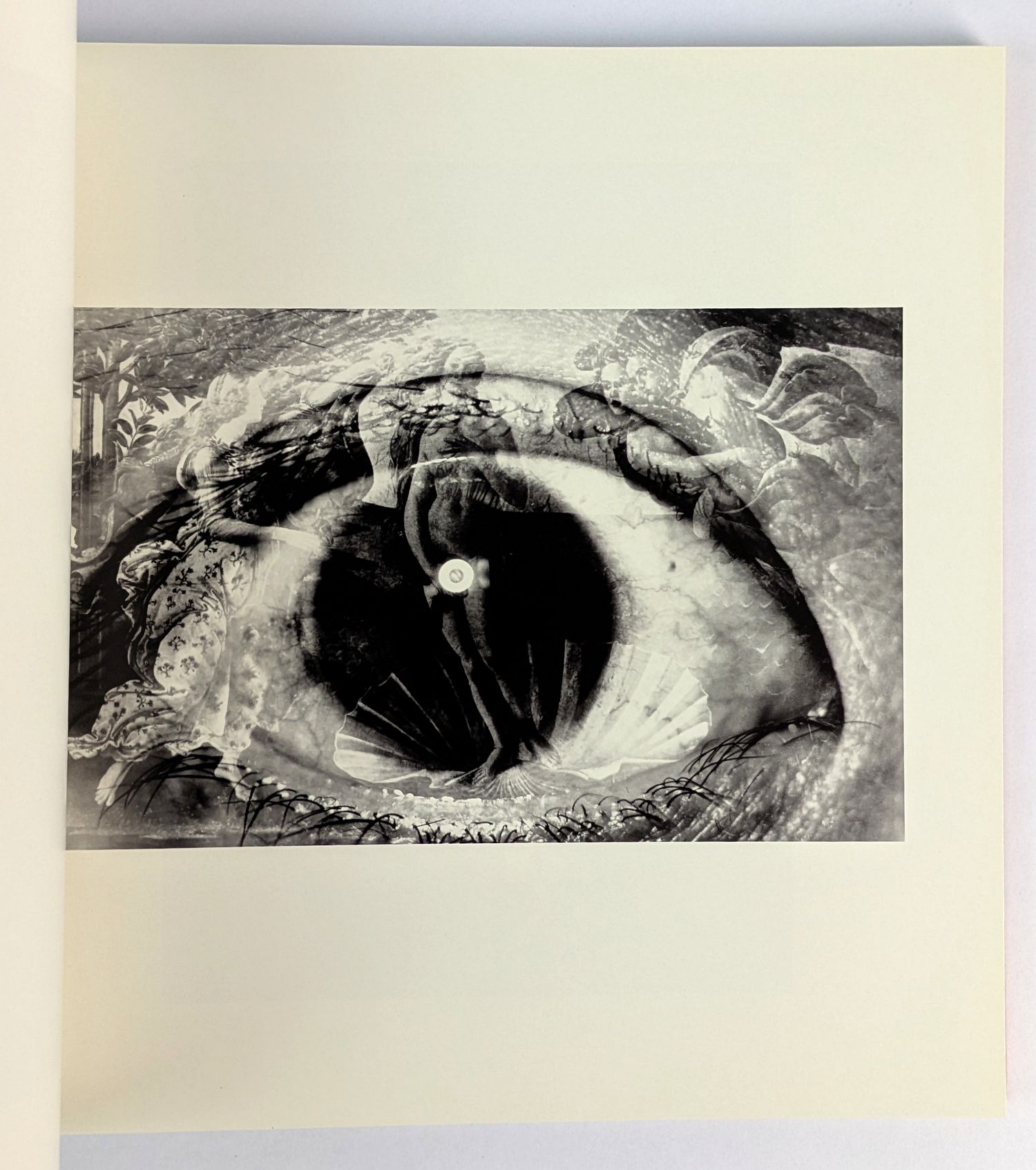 Eikoh Hosoe : Meta - Image 2