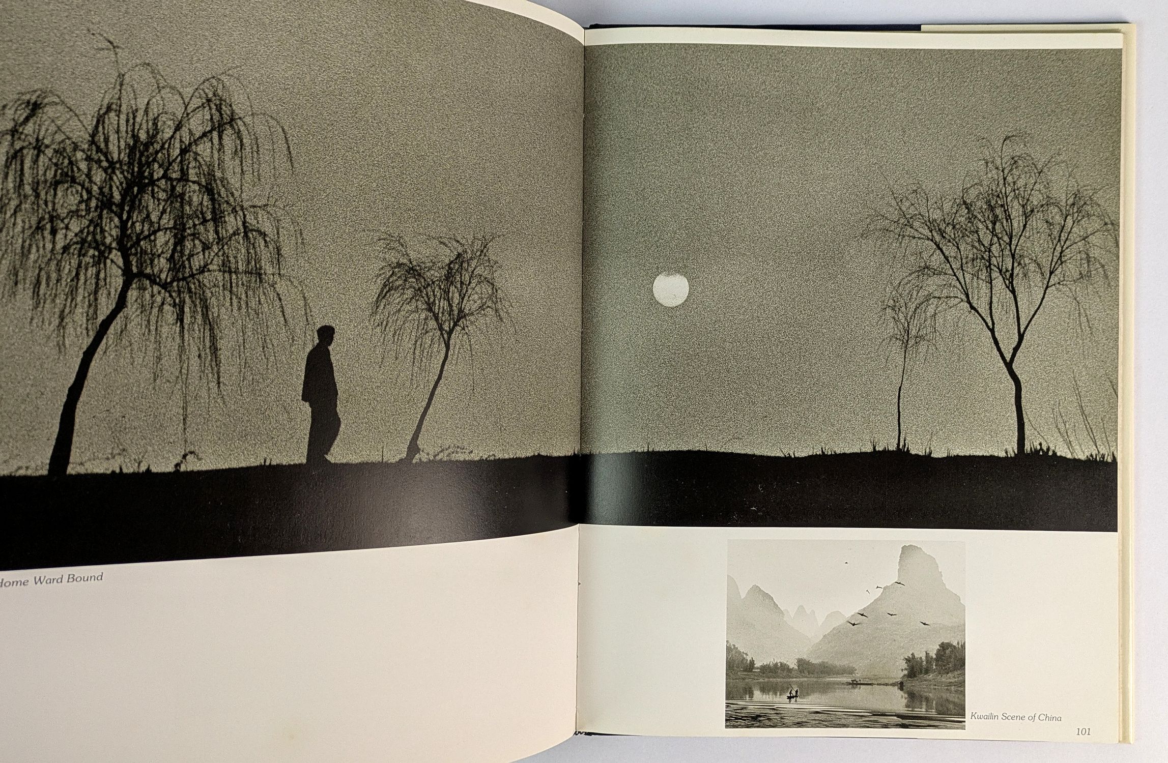 Yip Cheong Fun's Pictorial Collection - Image 5