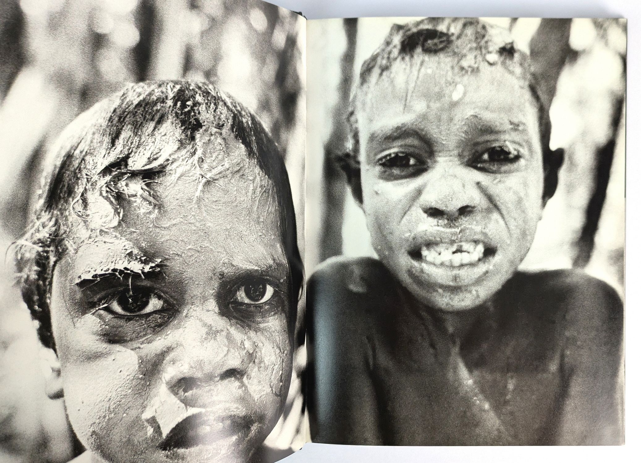 Australians: Responses to the Land - Image 2