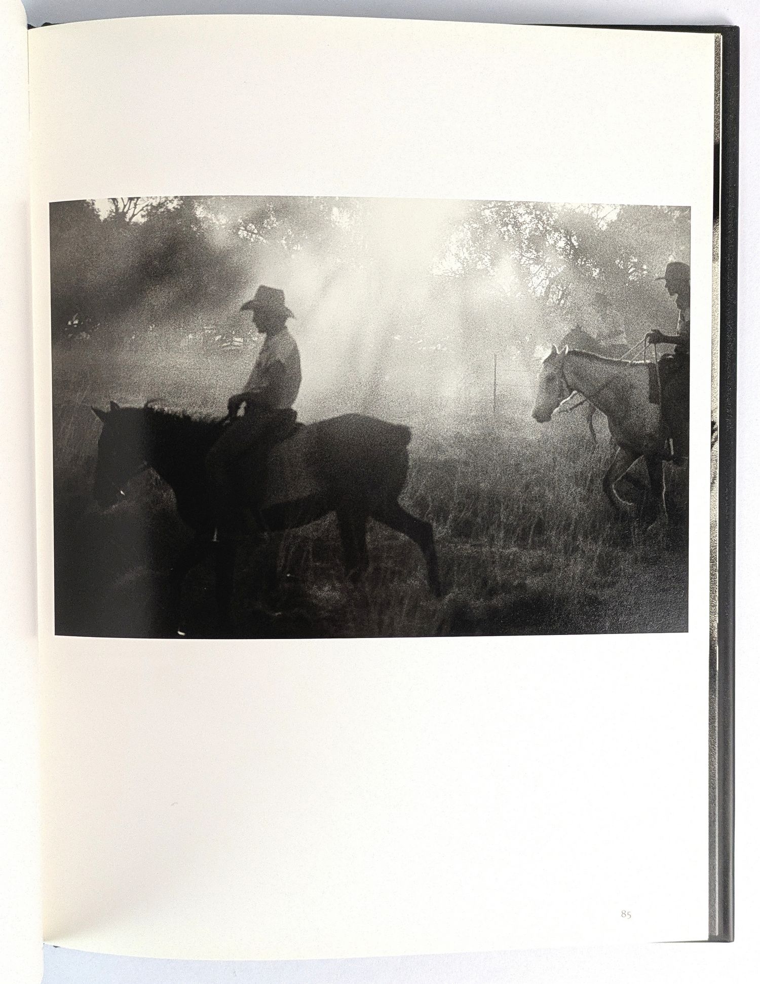 Australians: Responses to the Land - Image 5