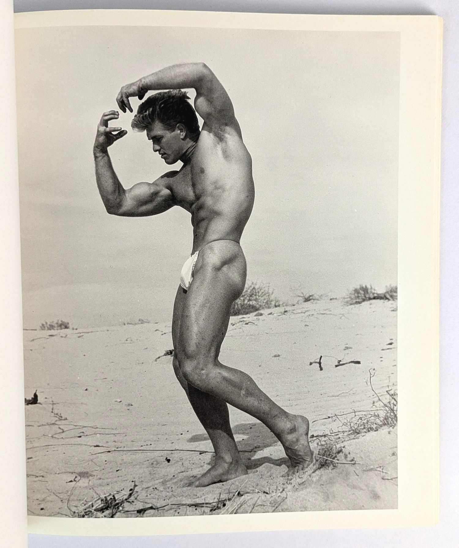 Bruce of Los Angeles - Image 3