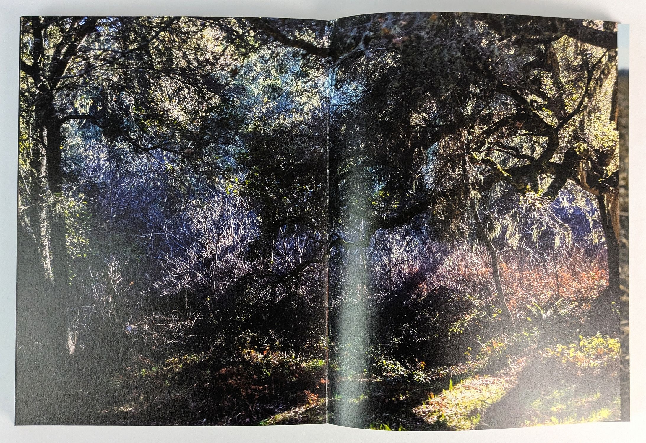 Buzzing at the Sill - Image 2