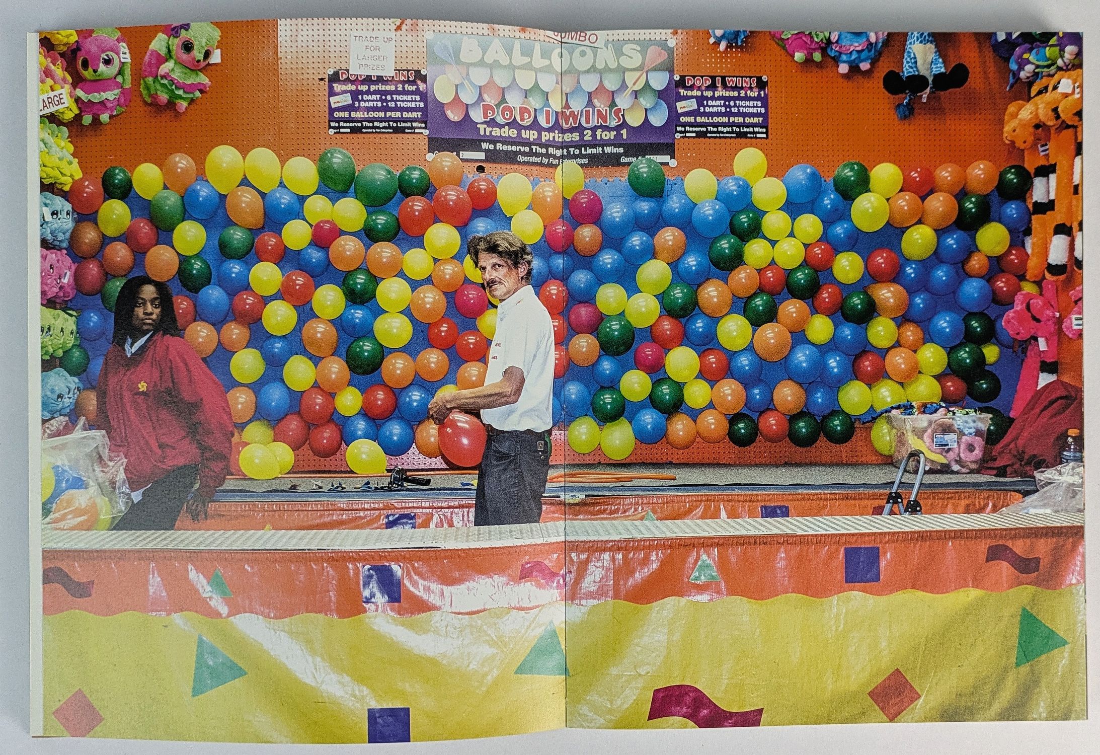 Buzzing at the Sill - Image 3