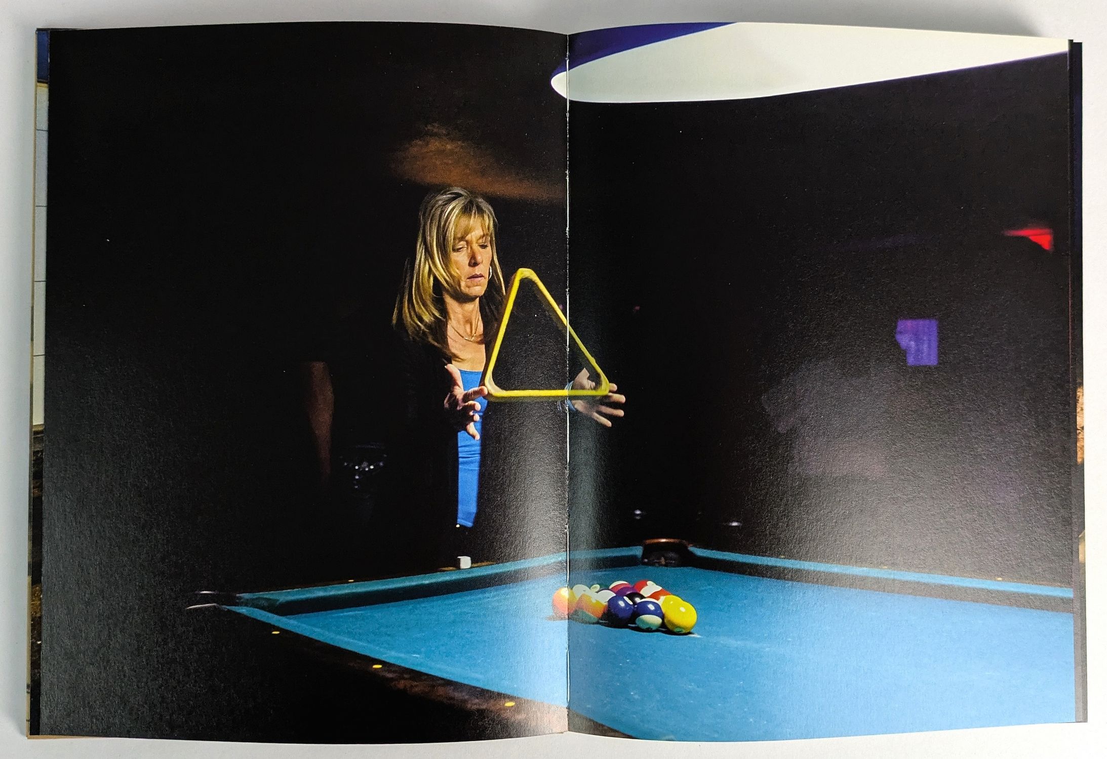 Buzzing at the Sill - Image 4