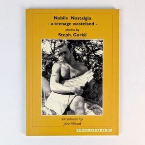 Nubile Nostalgia: A Teenage Wasteland