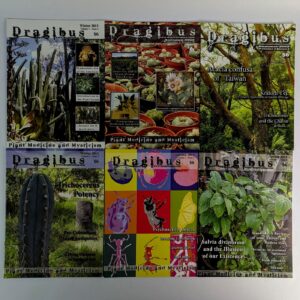 Dragibus: Plant Medicine and Mysticism (Complete Set, 12 Volumes)