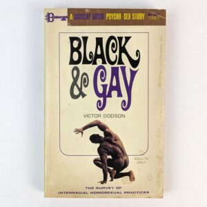 Black & Gay: The Survey of Interracial Homosexual Practices