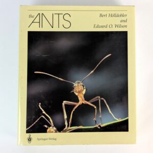 The Ants