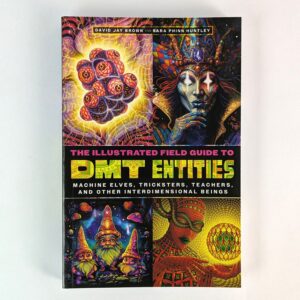 The Illustrated Field Guide to DMT Entities: Machine Elves, Tricksters, Teachers, and Other Interdimensional Beings