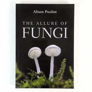 The Allure of Fungi