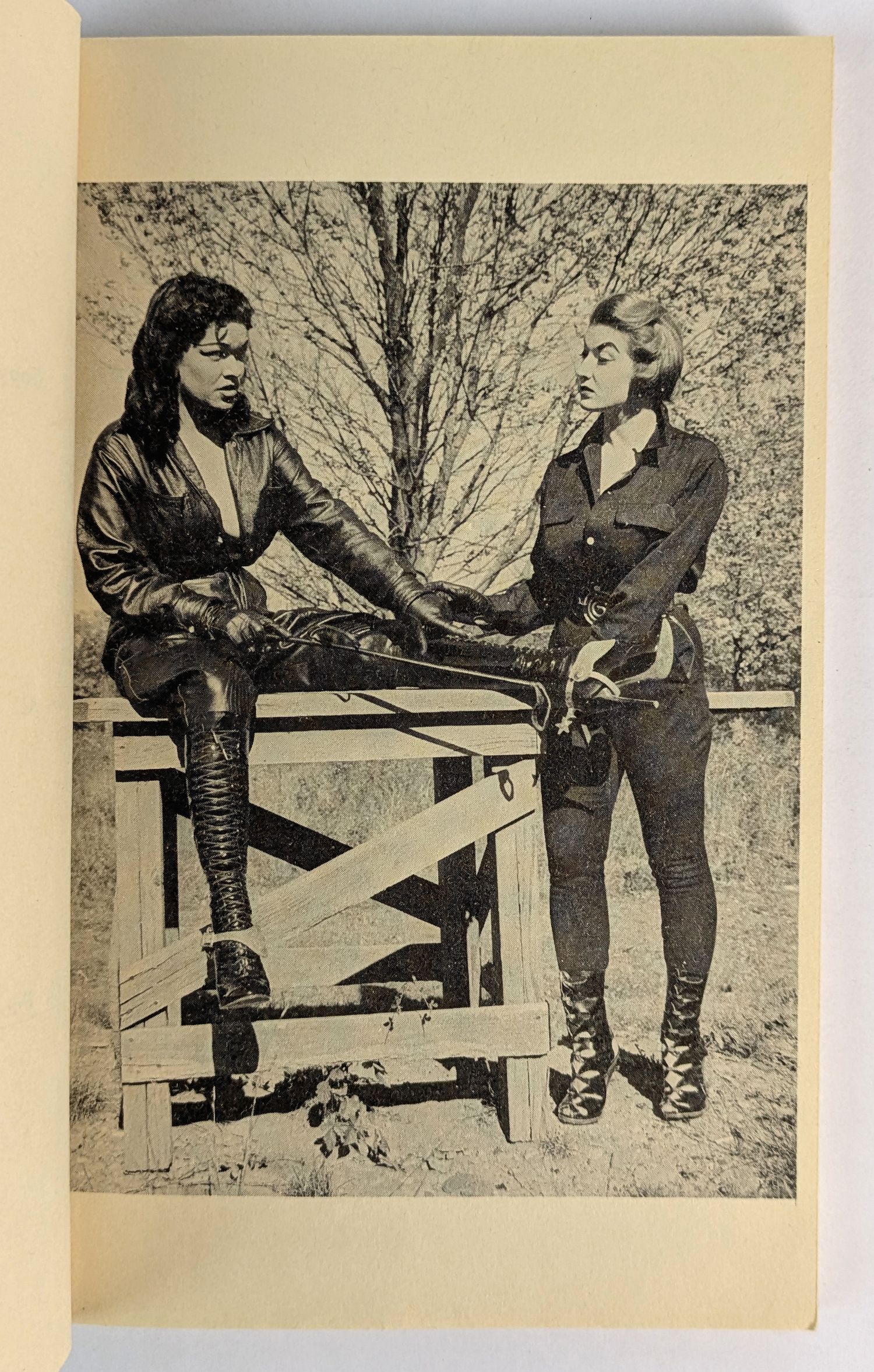 Dominant Desires: An "Exotique" Novel - Image 2