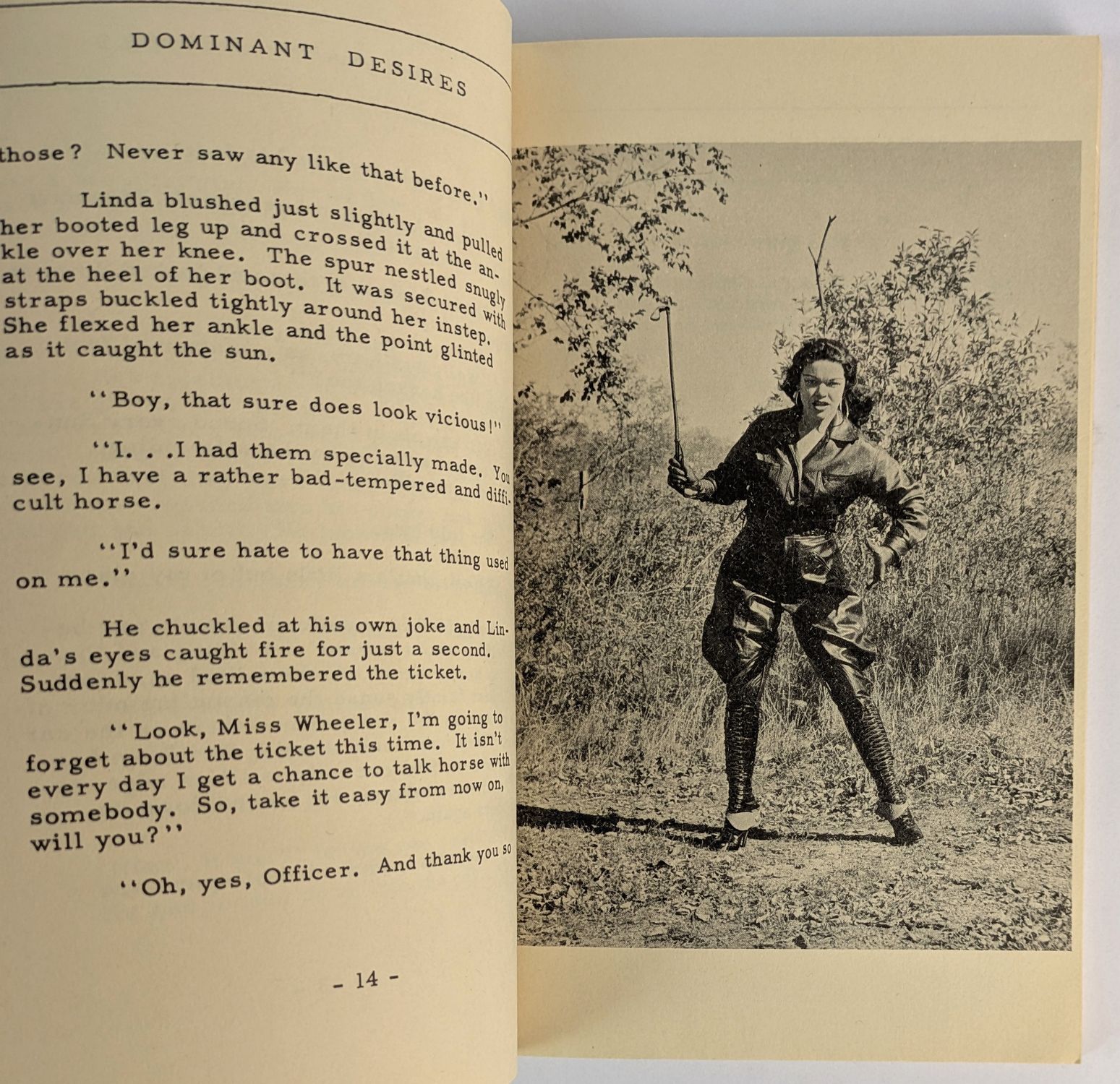 Dominant Desires: An "Exotique" Novel - Image 3