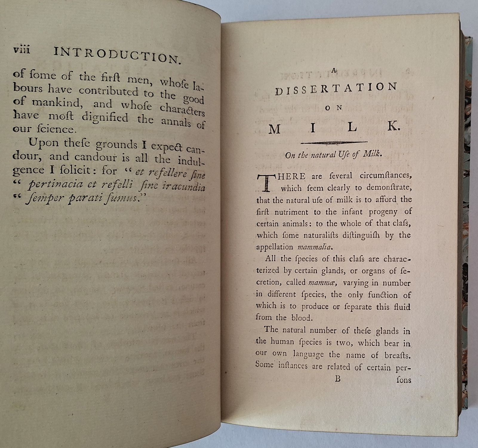 A Dissertation on Milk - Image 4