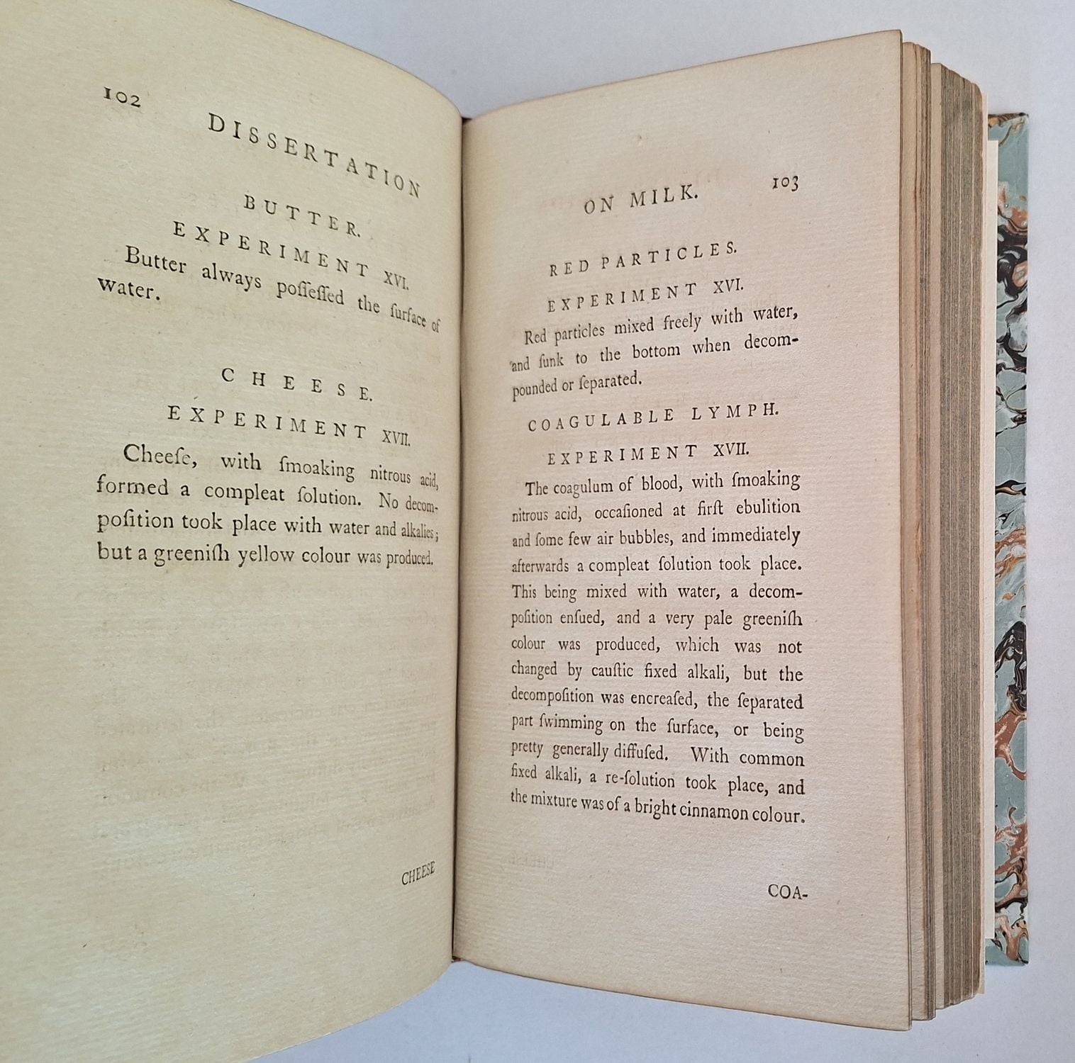 A Dissertation on Milk - Image 5