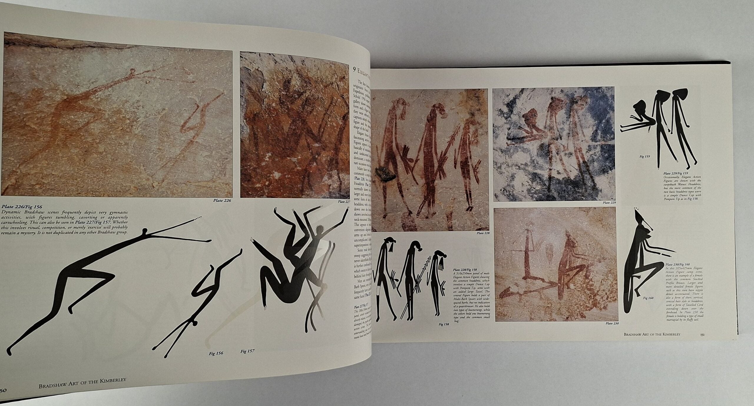 Bradshaw Art of the Kimberley - Image 3