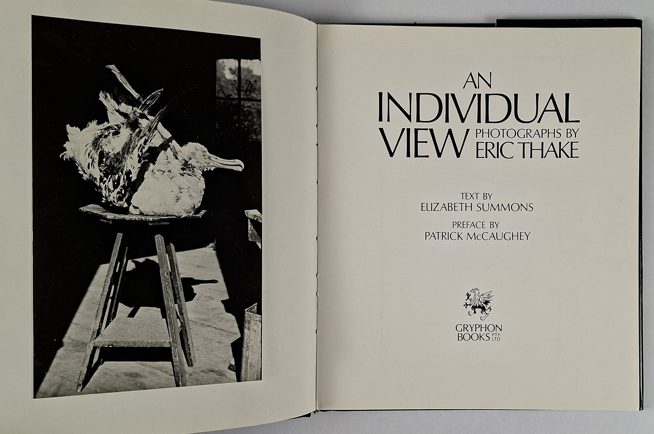 An Individual View - Image 2
