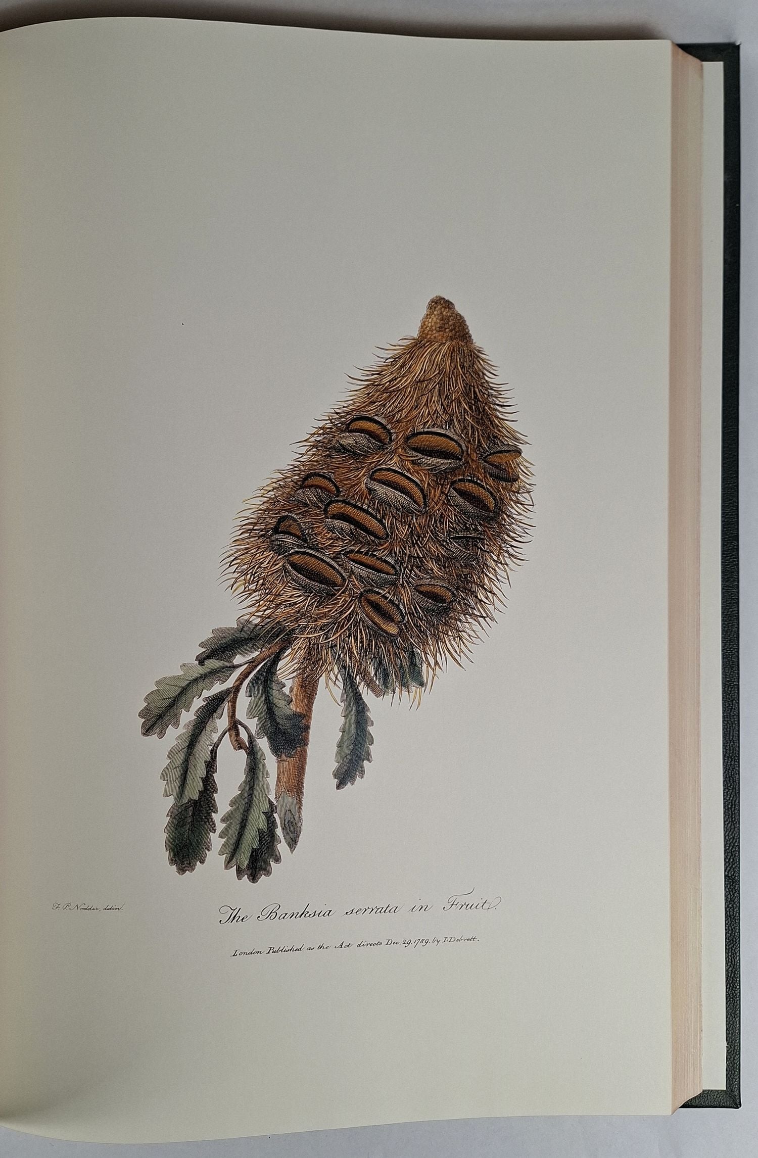 Journal of a Voyage to New South Wales - Image 5