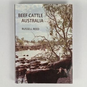 Beef Cattle Australia