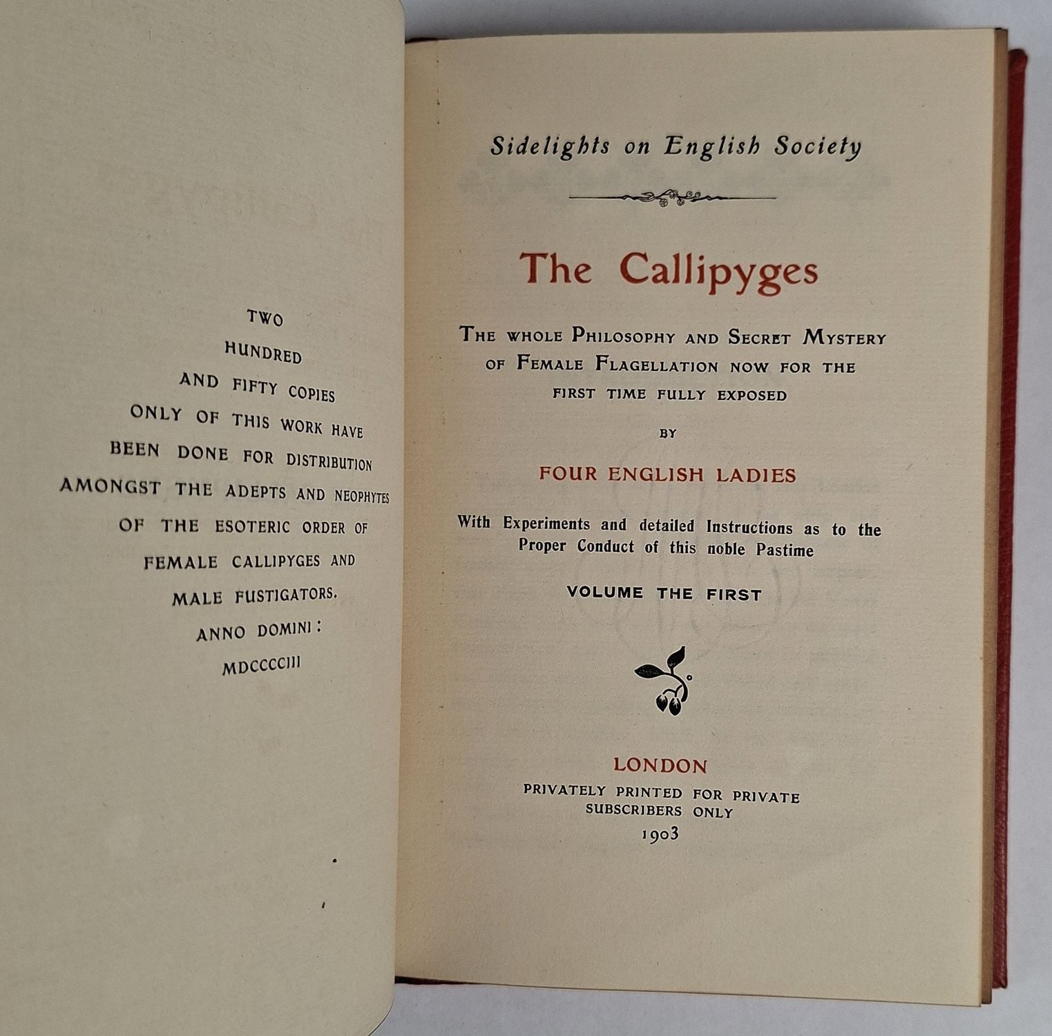 The Callipyges: The Whole Philosophy and Secret Mystery of Female Flagellation now for the first time fully exposed - Image 2