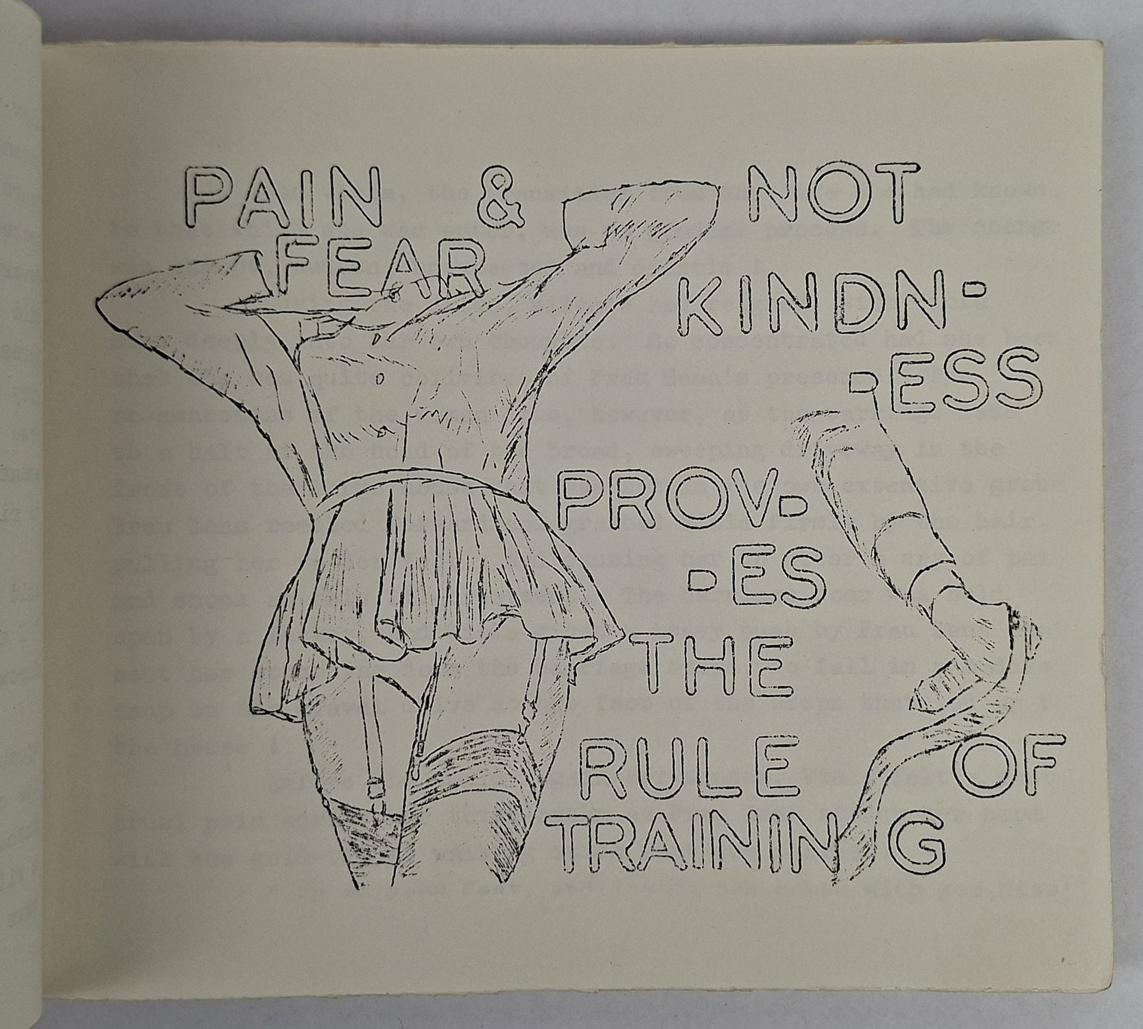 The Horrors of a Victorian Girl's Engagement - Image 4