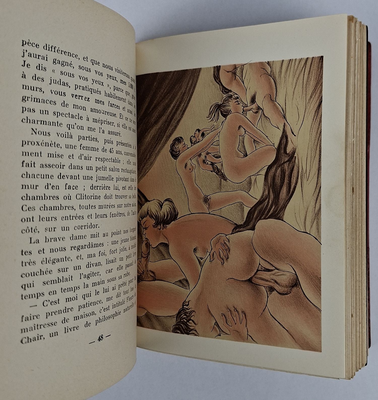 Les Curiosites - Image 3