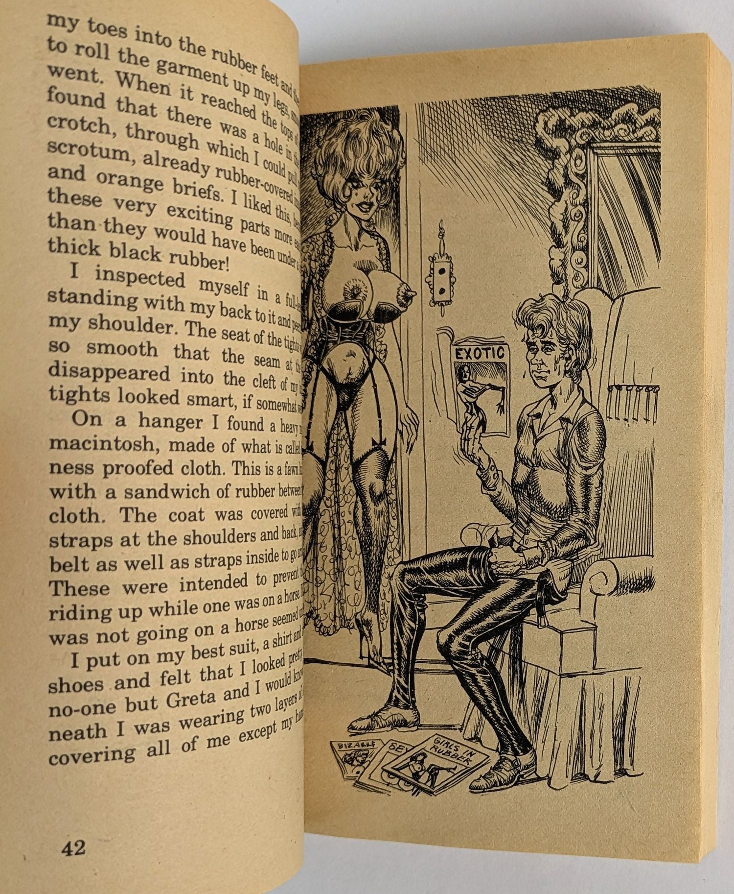 Their Bizarre Education - Image 4